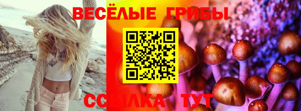 Псилоцибиновые грибы мухоморы Ивантеевка