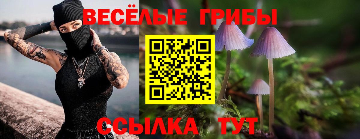 Галлюциногенные грибы Psilocybe  Вход с VPN  Ивантеевка 
